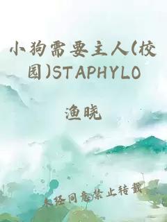 小狗需要主人(校园)STAPHYLO