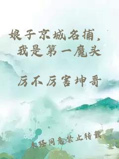 娘子京城名捕，我是第一魔头