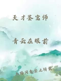 天才鉴宝师